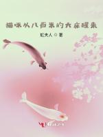 猫咪从八百米的大床醒来