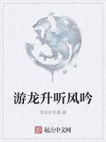 游龙升听风吟