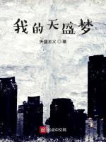 我的天盛梦