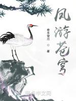 凤游苍穹