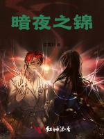 暗夜之锦