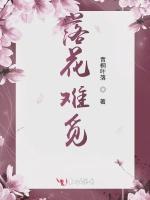 落花难觅
