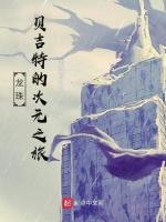 龙珠：贝吉特的次元之旅