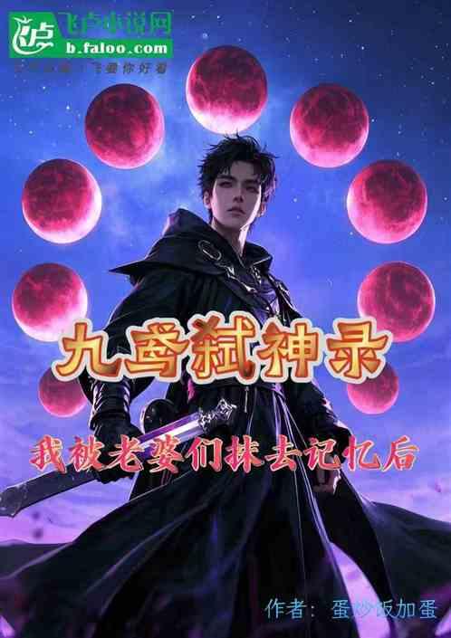 九鸢弑神录：被老婆们抹去记忆后