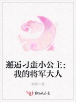 邂逅刁蛮小公主：我的将军大人