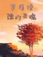 岁月侵蚀的灵魂