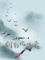 剑影风华录