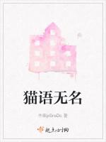 猫语无名
