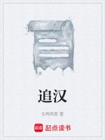 追汉