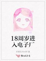 18周岁进入电子厂