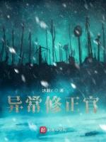 异常修正官