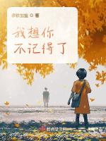 我想你不记得了