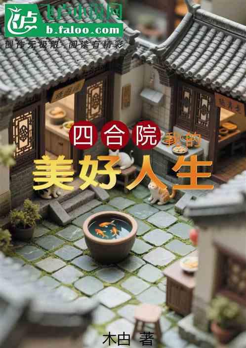 四合院：我的美好人生