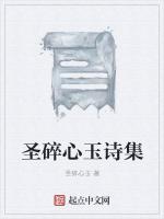 圣碎心玉诗集