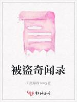 被盗奇闻录
