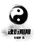 魂衍阴阳