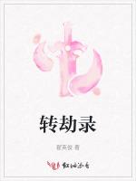 转劫录