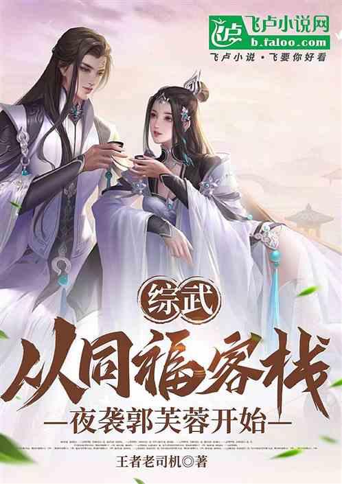 综武：从同福客栈夜袭郭芙蓉开始