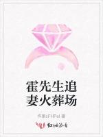 霍先生追妻火葬场