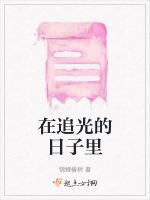 在追光的日子里
