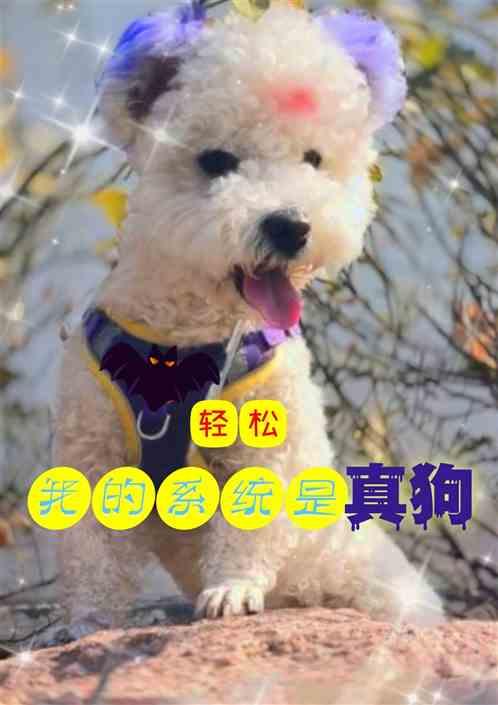 我喂狗功德，换个浮生若梦