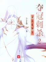 次元星陆之夺冠刺杀2