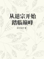 从退宗开始踏临巅峰