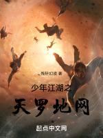少年江湖之天罗地网