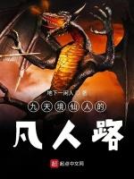 九天境仙人的凡人路