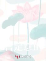 言定意止