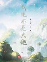 我绝不是大佬