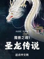 魔兽之魂1圣龙传说