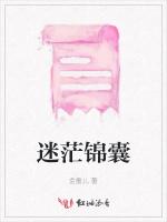 迷茫锦囊