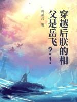 穿越后朕的相父是岳飞？！