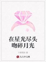 在星光尽头吻碎月光