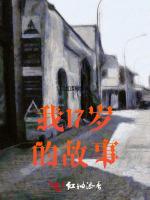 我17岁的故事