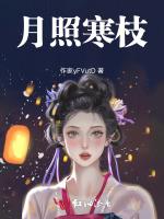 月照寒枝