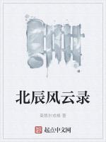 北辰风云录