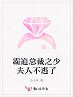 霸道总裁之少夫人不逃了