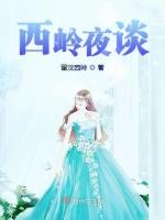 西岭夜谈