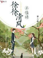 徐徐清风不值得