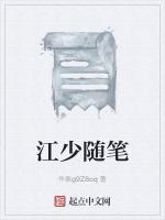 江少随笔