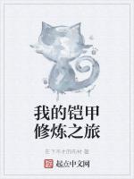 我的铠甲修炼之旅