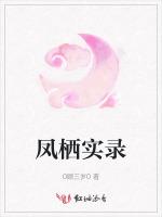 凤栖实录
