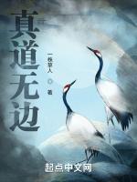 真道无边