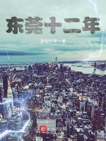 东莞十二年