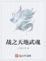 战之天地武魂