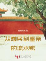 从难民到皇帝的流水账