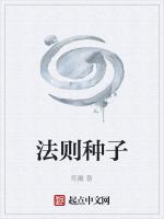 法则种子