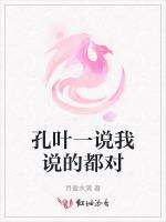 孔叶一说我说的都对